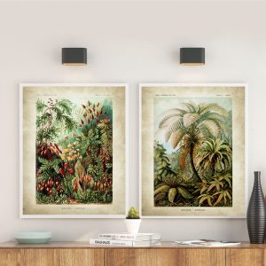 Poster Jungle Tropicale